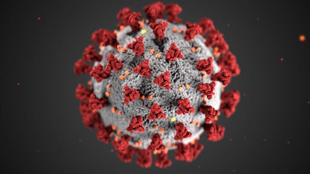 Corona Virus