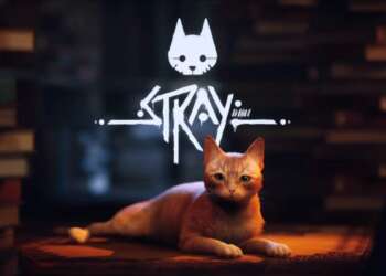 Game News: Stray