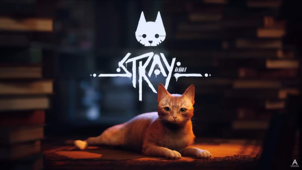 Game News: Stray