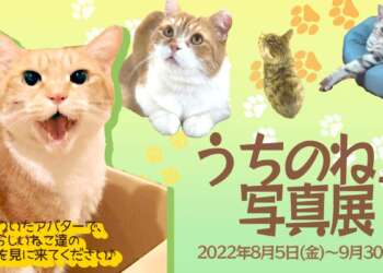 Japan News: Neko Photo Exhibition