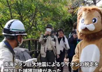 Japan News: Löwe nach Erdbeben entlaufen - Katastrophenübung mal anders