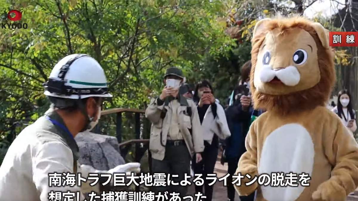 Japan News: Löwe nach Erdbeben entlaufen - Katastrophenübung mal anders