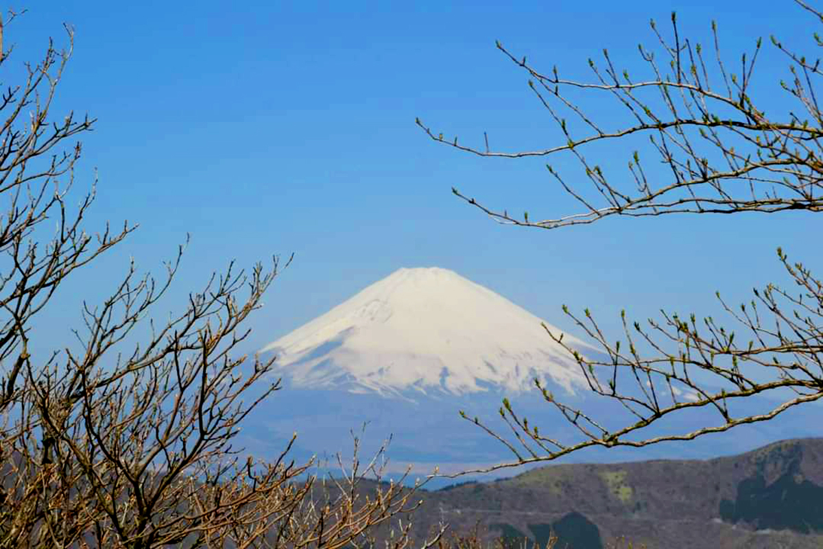 Japan-News: Fuji-san