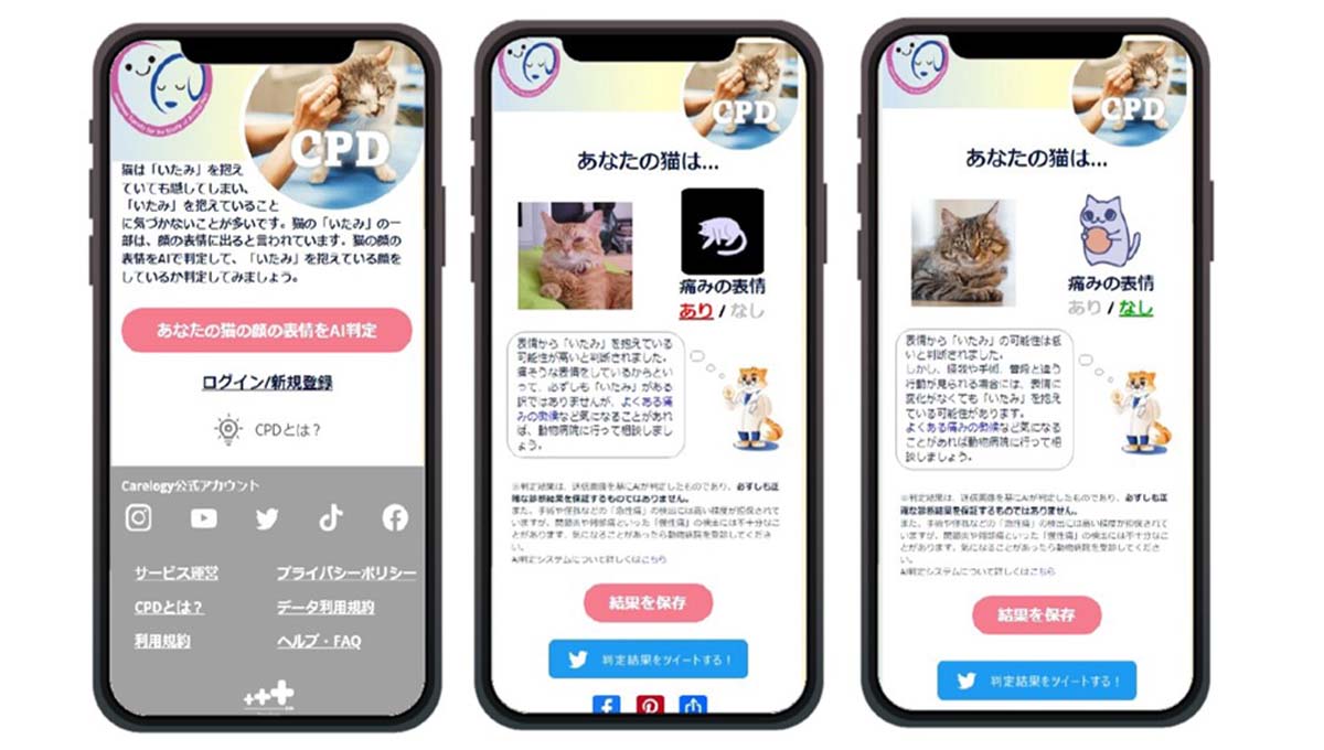 Japan-News: Cat Pain Detector