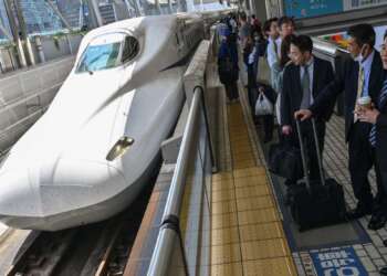 Japan-News: Schlange als Fahrgast