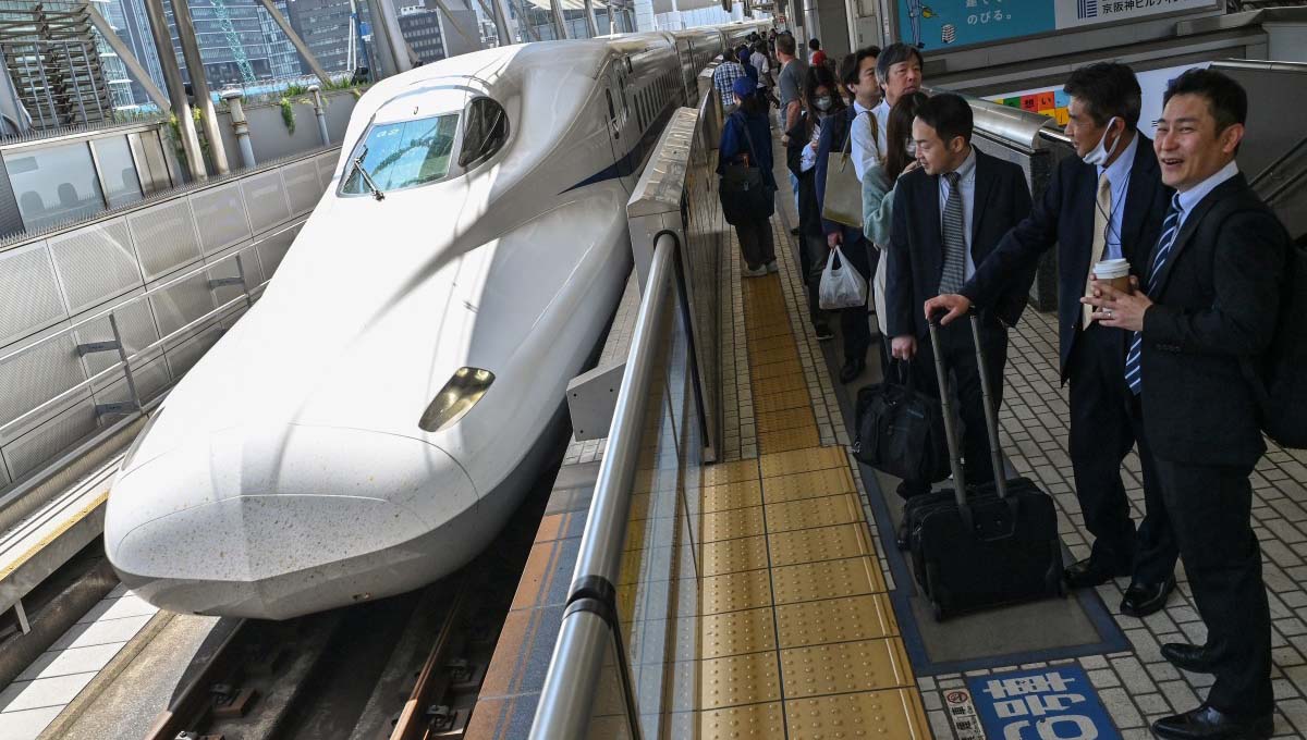 Japan-News: Schlange als Fahrgast