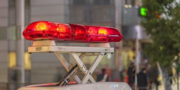 Japan News: Kriminalität